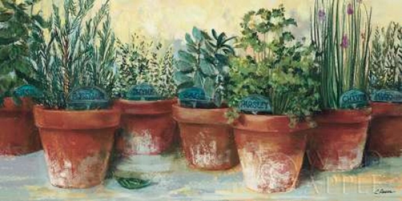 Potted Herbs II Poster Print by Carol Rowan - Item # VARPDX9000